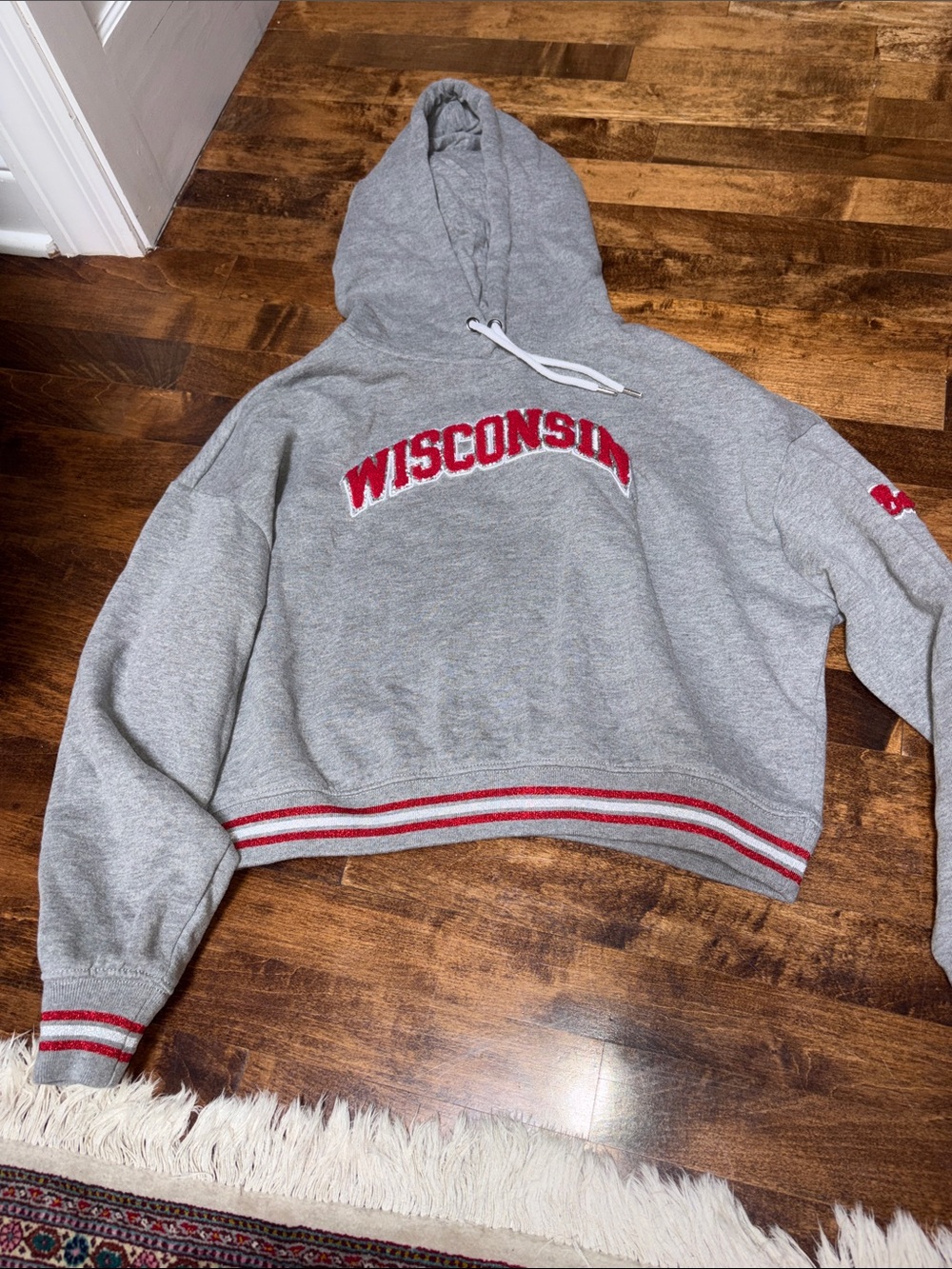 Colosseum Grey Hoodie with Red Wisconsin Chest Logo